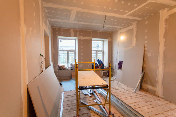 Best Drywall Sanding and Smoothing  in Webster City, IA